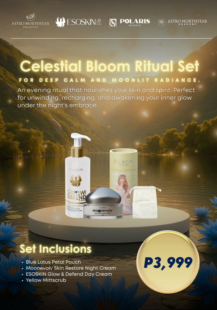 VIBEFEST BUNDLE 2025