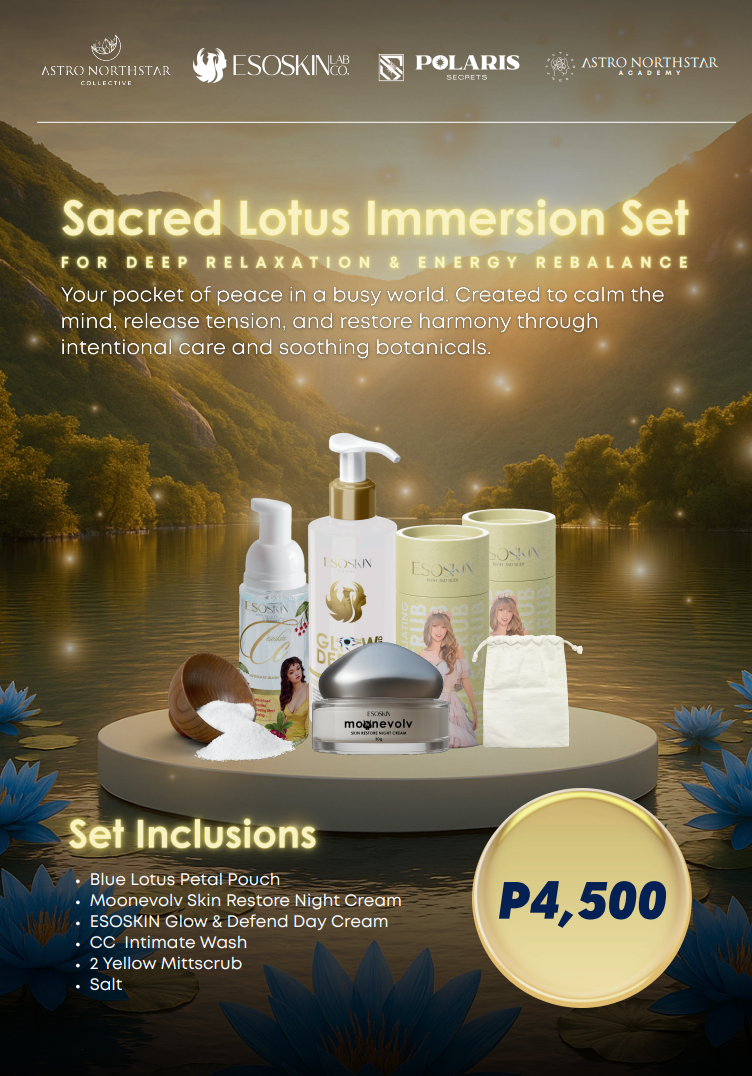 VIBEFEST BUNDLE 2025