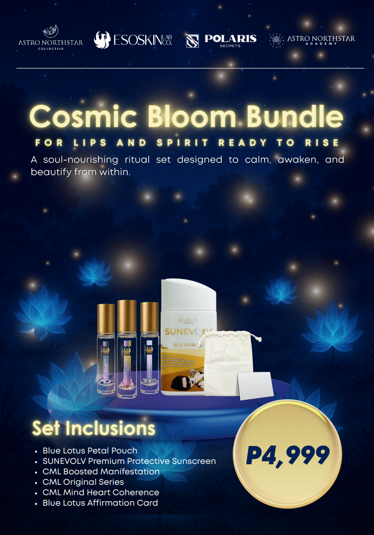 VIBEFEST BUNDLE 2025