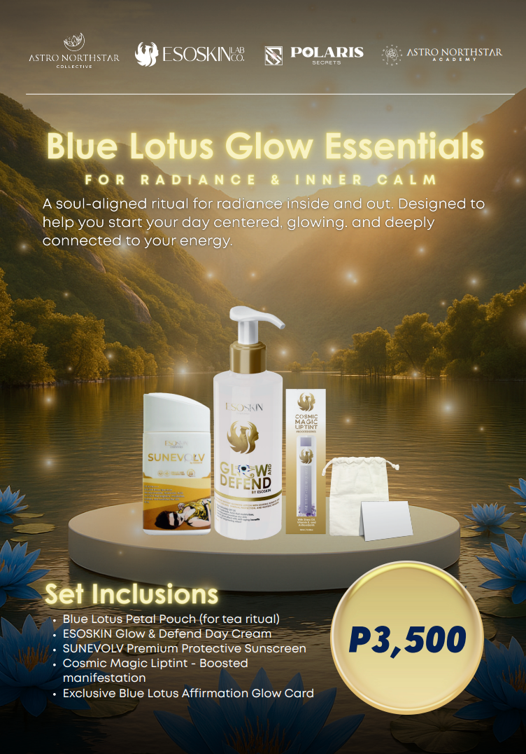 VIBEFEST BUNDLE 2025